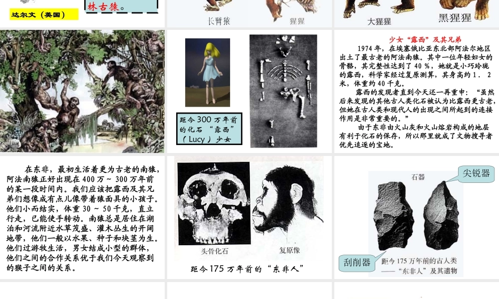 七年级生物下册人类的起源和发展课件新人教版 课件