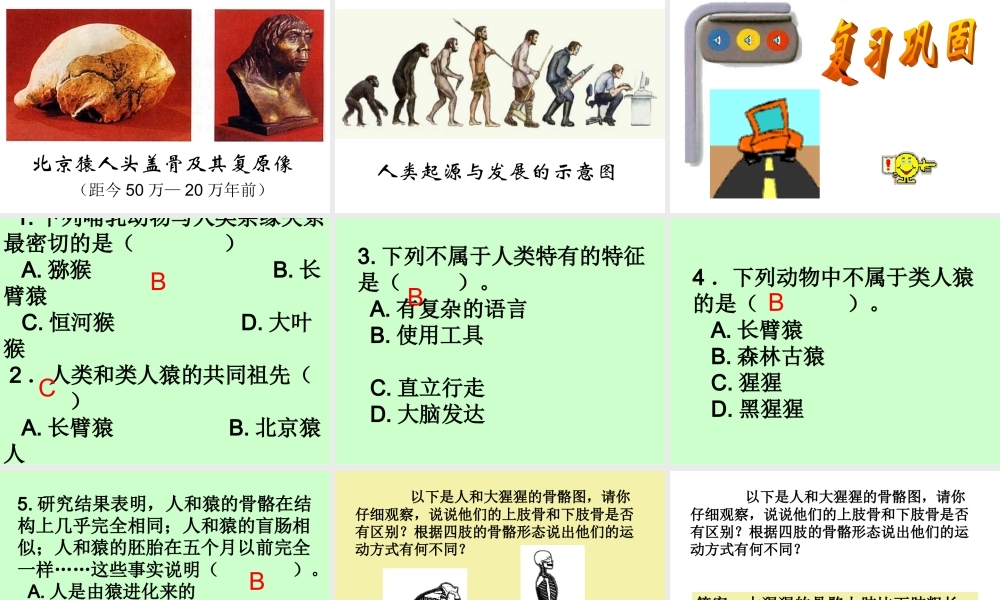 七年级生物下册人类的起源和发展课件新人教版 课件