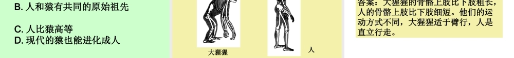 七年级生物下册人类的起源和发展课件新人教版 课件