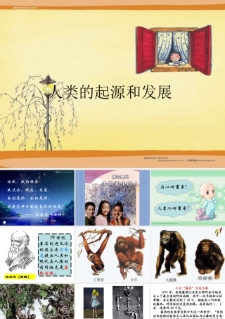 七年级生物下册人类的起源和发展课件新人教版 课件
