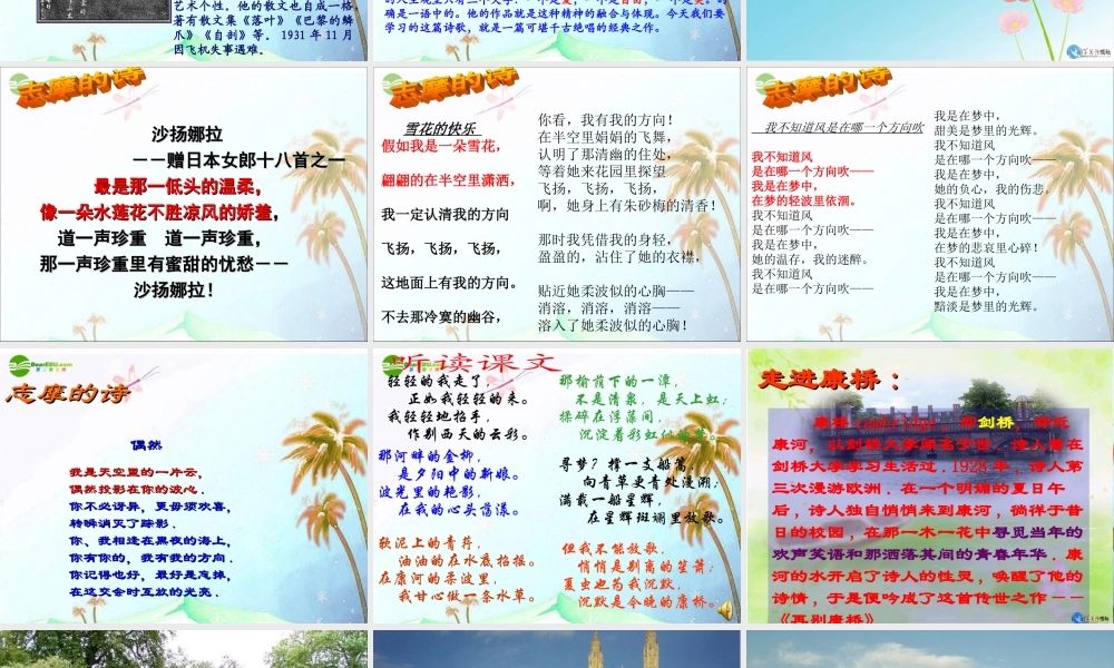 九年级语文下册 第二单元(再别康桥)课件 语文版 课件