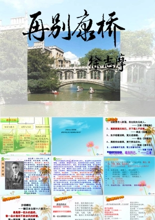 九年级语文下册 第二单元(再别康桥)课件 语文版 课件