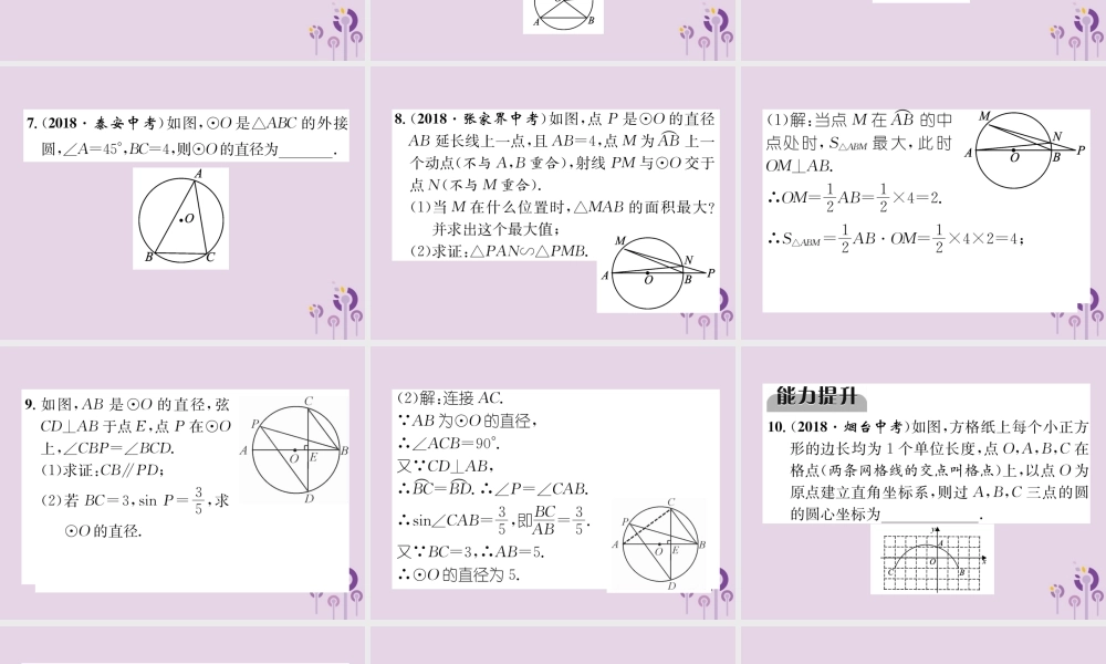中考数学总复习 第一部分 教材知识梳理 第7章 圆 第1节 圆的有关概念及性质(精练)课件