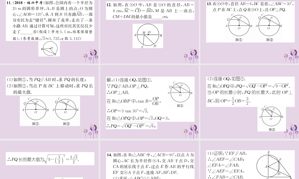 中考数学总复习 第一部分 教材知识梳理 第7章 圆 第1节 圆的有关概念及性质(精练)课件