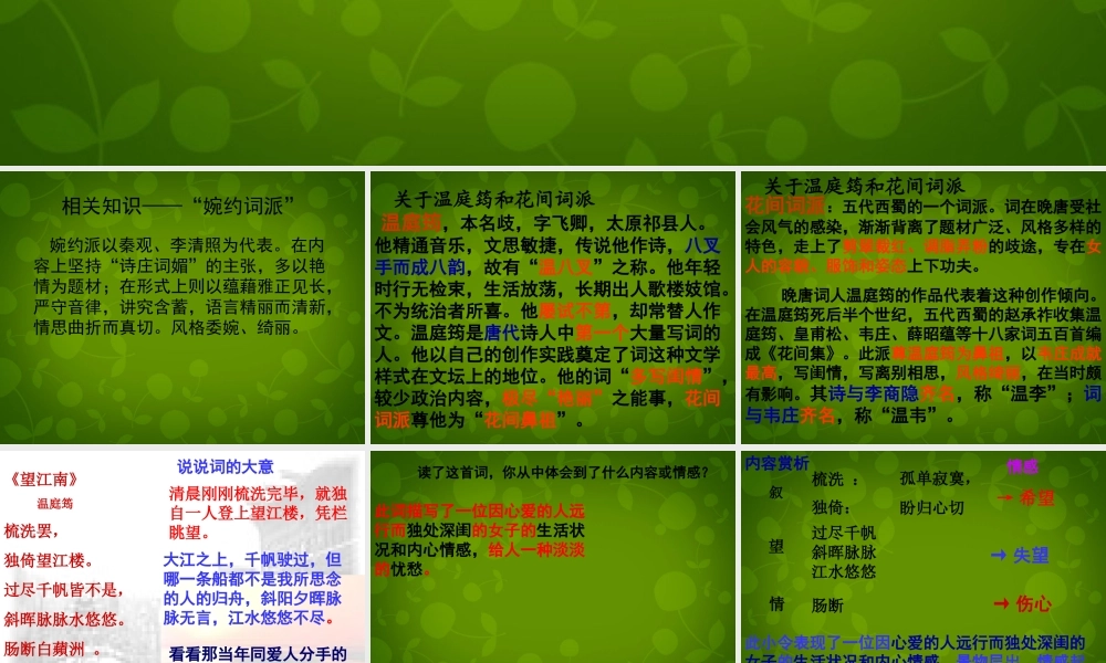 九年级语文上册 25(词五首)望江南 武陵春课件 新人教版 课件