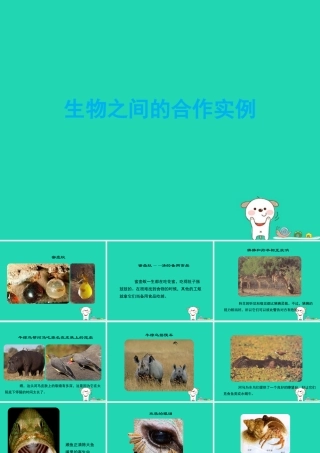 七年级生物上册 2.2.2(环境影响生物的生存)生物之间的合作实例素材 (新版)苏科版 素材