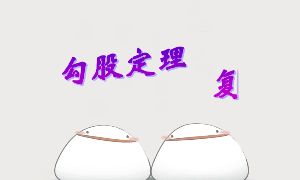 八年级数学下册(勾股定理)复习课件 人教新课标版 课件