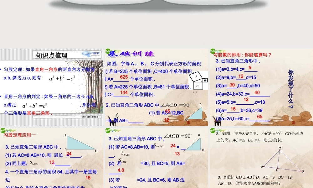 八年级数学下册(勾股定理)复习课件 人教新课标版 课件