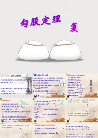 八年级数学下册(勾股定理)复习课件 人教新课标版 课件