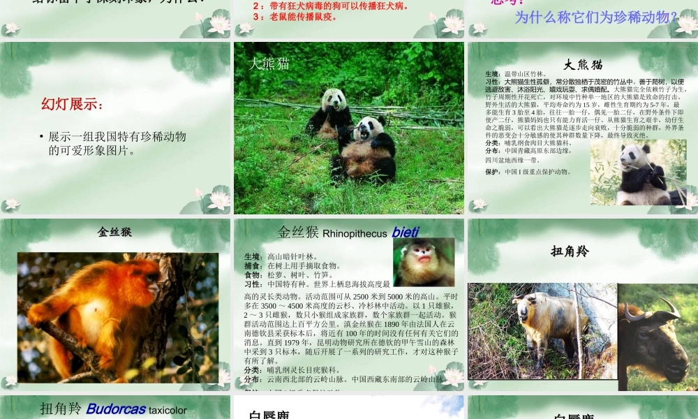 我国的动物资源 八年级生物上册第17章第2节我国动物资源及保护课件北师大版 八年级生物上册第17章第2节我国动物资源及保护课件北师大版