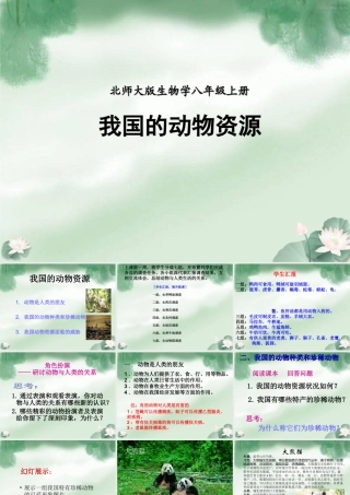 我国的动物资源 八年级生物上册第17章第2节我国动物资源及保护课件北师大版 八年级生物上册第17章第2节我国动物资源及保护课件北师大版