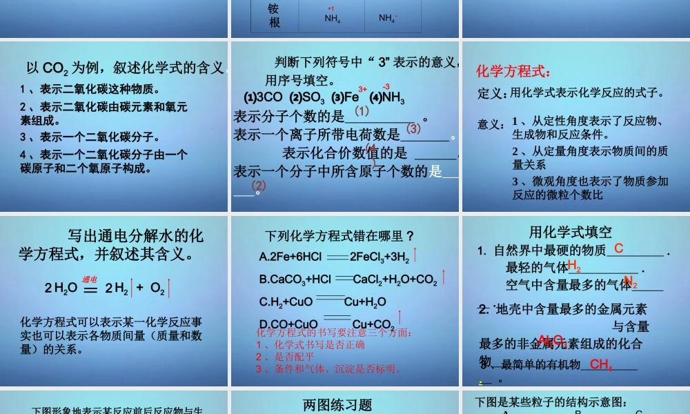 中考化学 常用化学用语复习课件 新人教版 课件