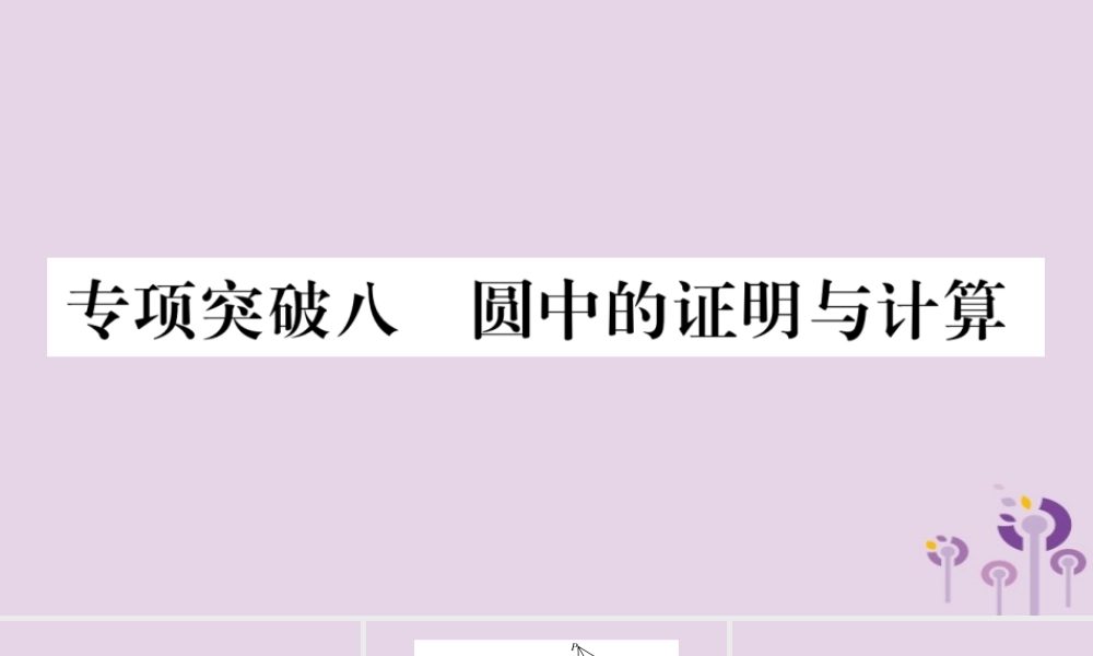 中考数学复习 第二轮 中档题突破 专项突破8 圆中的证明与计算习题课件