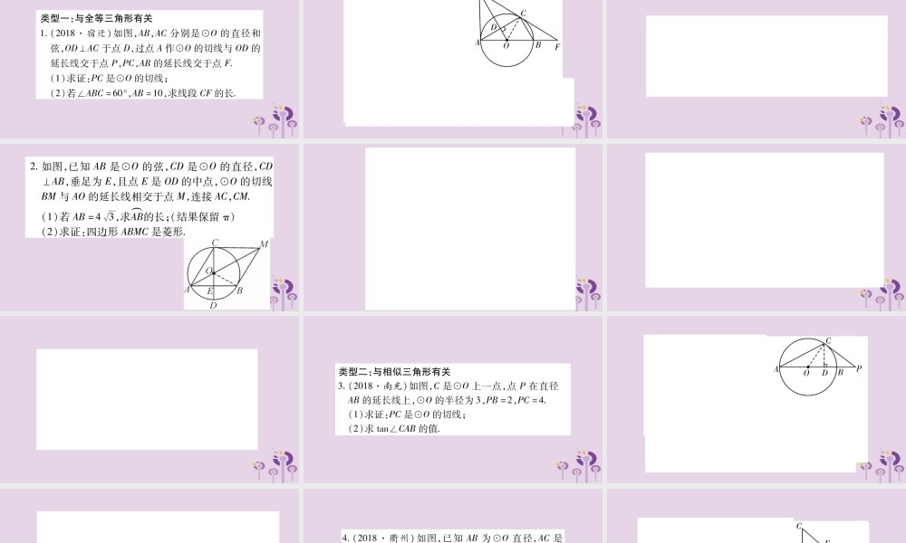 中考数学复习 第二轮 中档题突破 专项突破8 圆中的证明与计算习题课件
