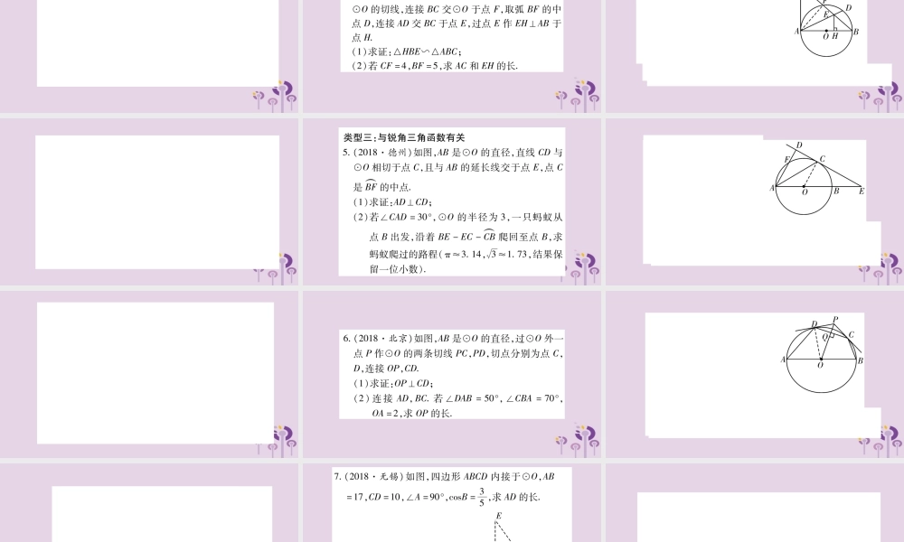 中考数学复习 第二轮 中档题突破 专项突破8 圆中的证明与计算习题课件