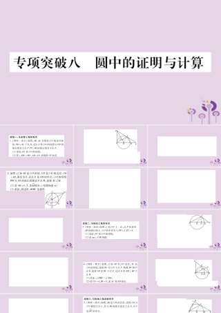 中考数学复习 第二轮 中档题突破 专项突破8 圆中的证明与计算习题课件