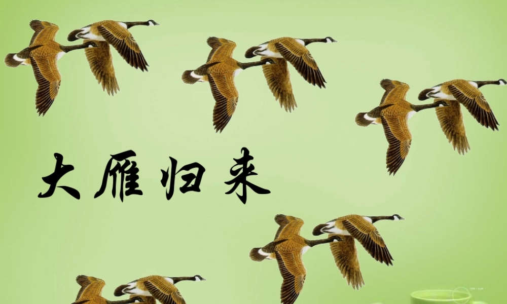 八年级语文下册 第14课(大雁归来)课件 (新版)新人教版 课件