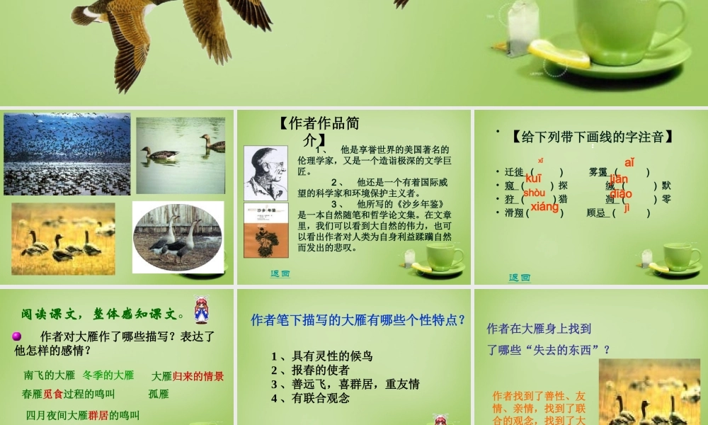 八年级语文下册 第14课(大雁归来)课件 (新版)新人教版 课件