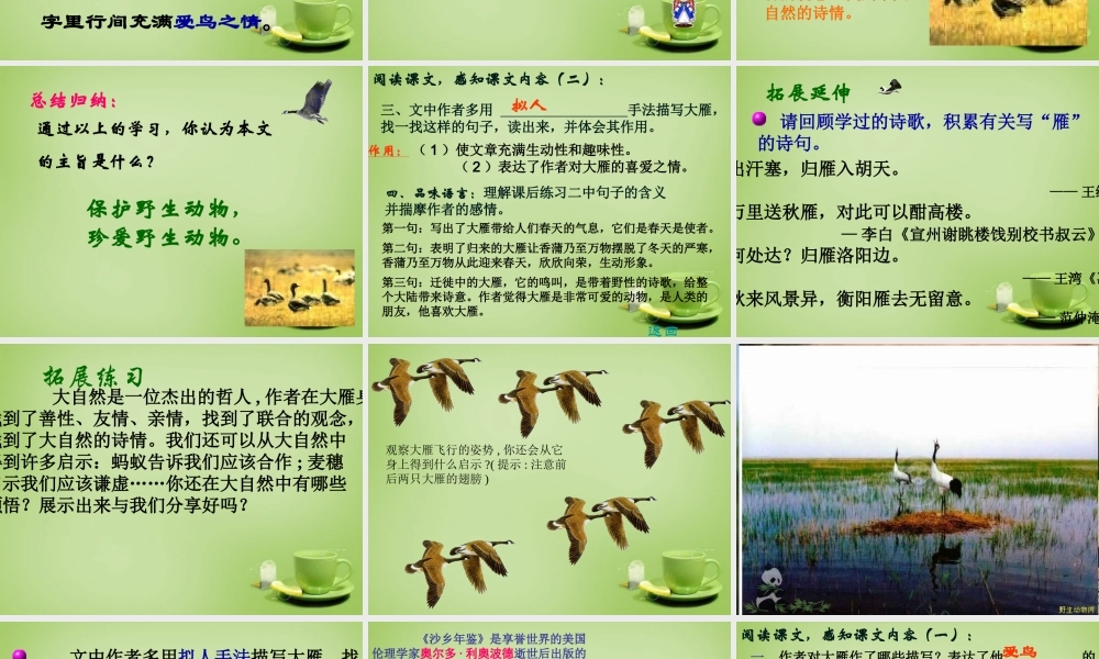 八年级语文下册 第14课(大雁归来)课件 (新版)新人教版 课件