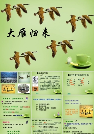 八年级语文下册 第14课(大雁归来)课件 (新版)新人教版 课件