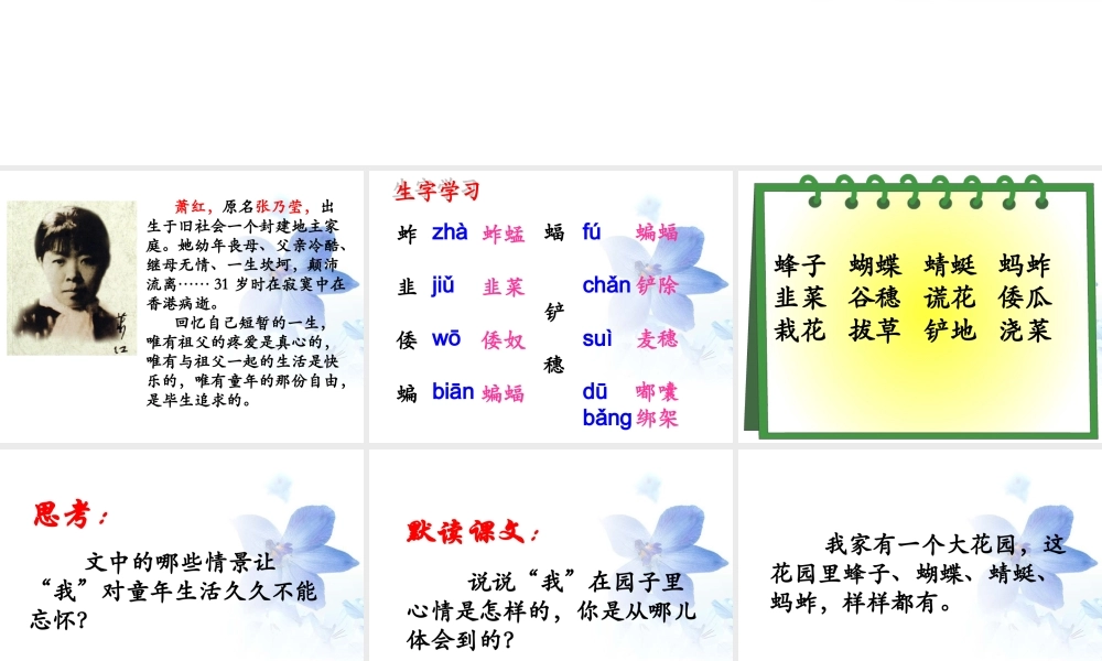《我和祖父的花园》教学课件(简要参考)