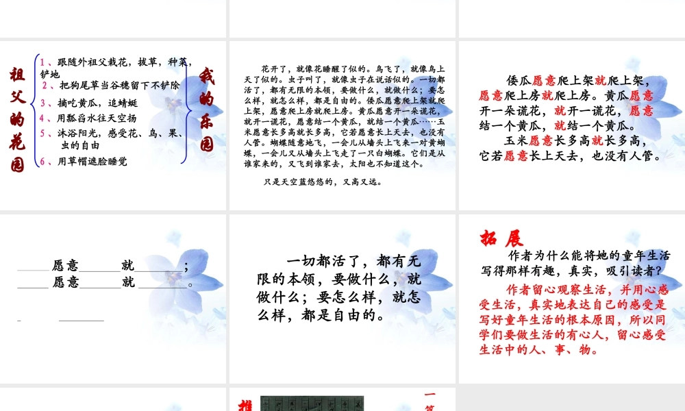 《我和祖父的花园》教学课件(简要参考)