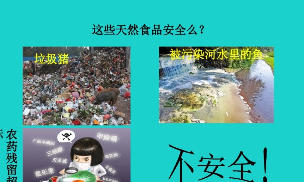 七年级生物下册 第二单元 第一章 第四节 食品安全 天然食品安全课件 冀少版 课件