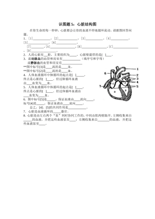 心脏结构图5