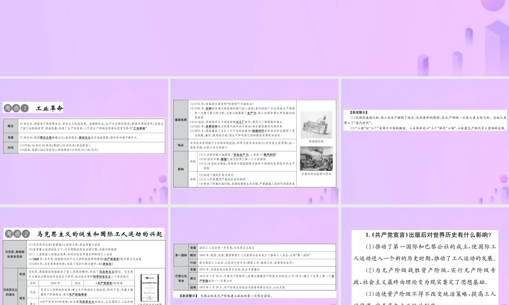 中考历史总复习 第十九讲 工业革命和工人运动的兴起课件 新人教版 课件