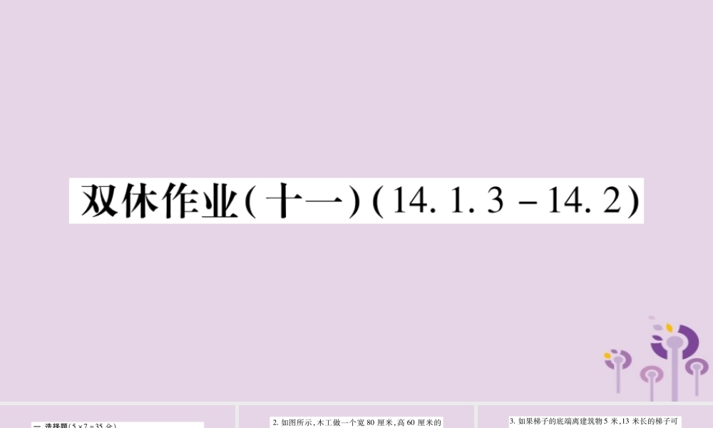 八年级数学上册 双休作业(十一)课件 (新版)华东师大版 课件