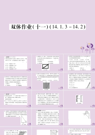 八年级数学上册 双休作业(十一)课件 (新版)华东师大版 课件