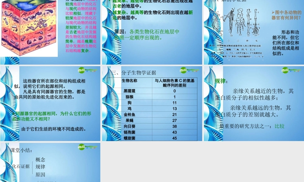 八年级生物下册 第一章第二节生物进化的证据课件 济南版 课件