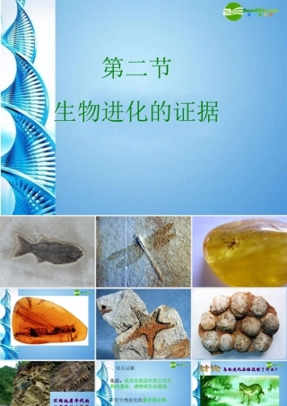 八年级生物下册 第一章第二节生物进化的证据课件 济南版 课件