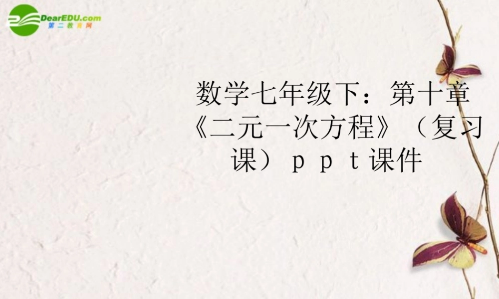 七年级数学下册 第十章(二元一次方程)复习课件 苏教版 课件