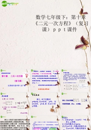 七年级数学下册 第十章(二元一次方程)复习课件 苏教版 课件