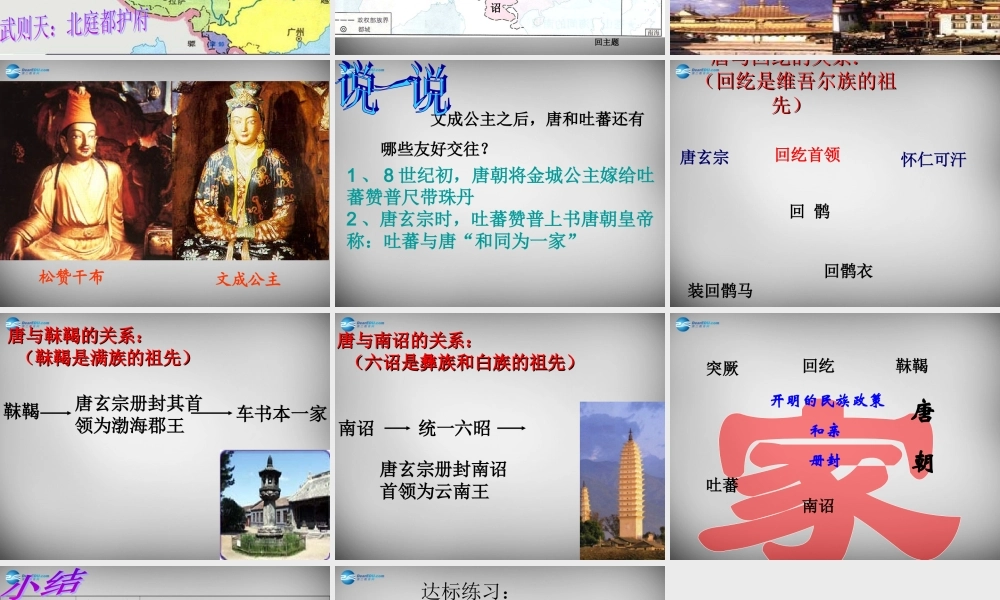 中学七年级历史下册 第5课 和同为一家 课件 新人教版 课件