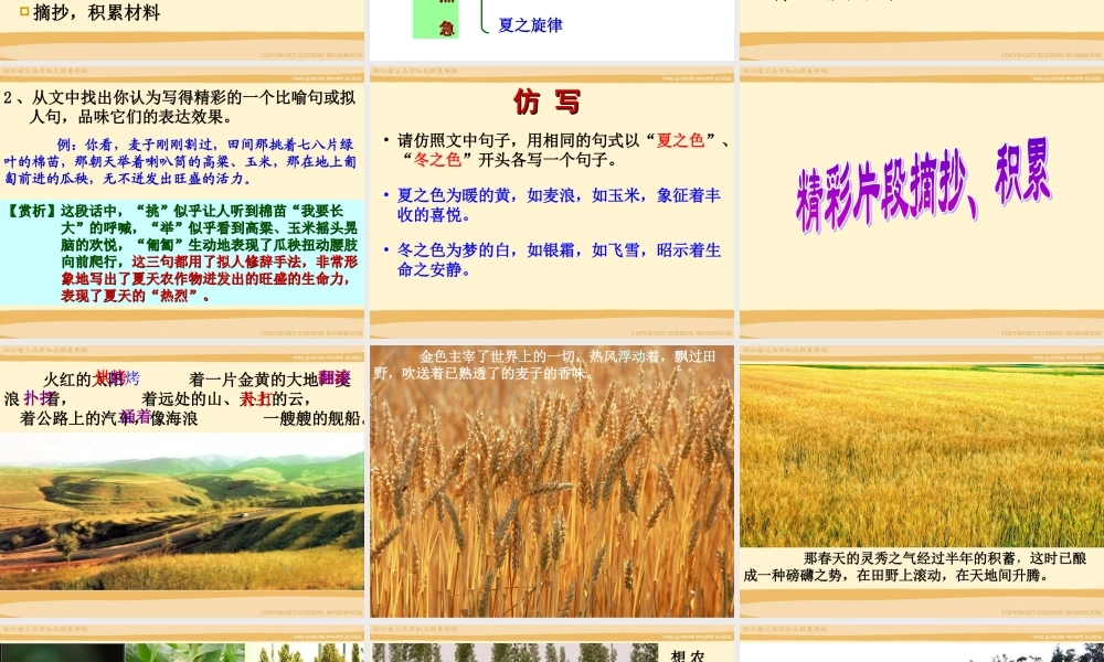 夏感 七年级语文上册_第三单元_13.夏感课件人教版