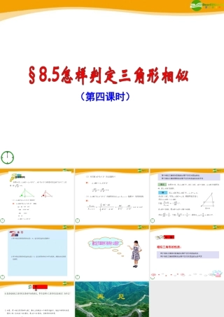 八年级数学下册 8.5(4)怎样判定三角形相似课件 青岛版 课件