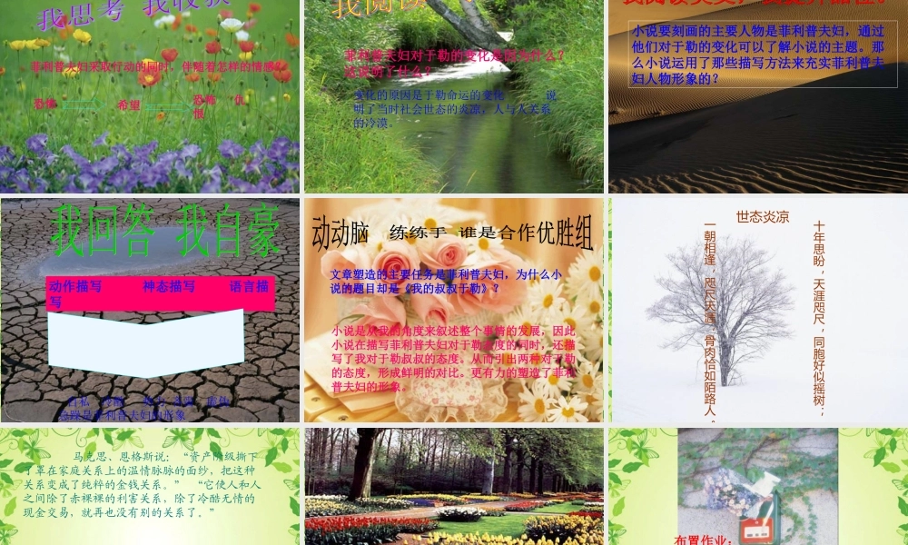 九年级语文上册 (我的叔叔于勒)课件 人教新课标版 课件