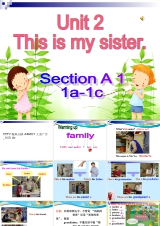 Section-A-1