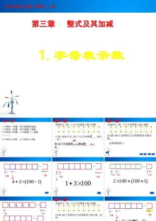 字母表示数.1字母表示数