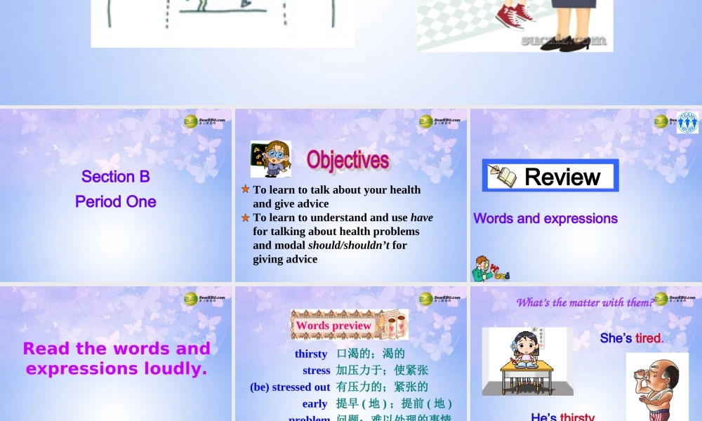 八年级英语上册(Unit 2 What's the matter Revision Section B1)课件 人教新目标版 课件