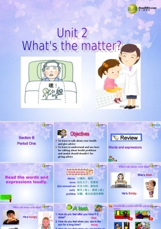 八年级英语上册(Unit 2 What's the matter Revision Section B1)课件 人教新目标版 课件