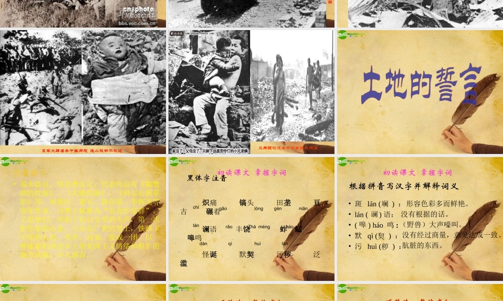 七年级语文下册(土地的誓言)教学课件 人教新课标版 课件