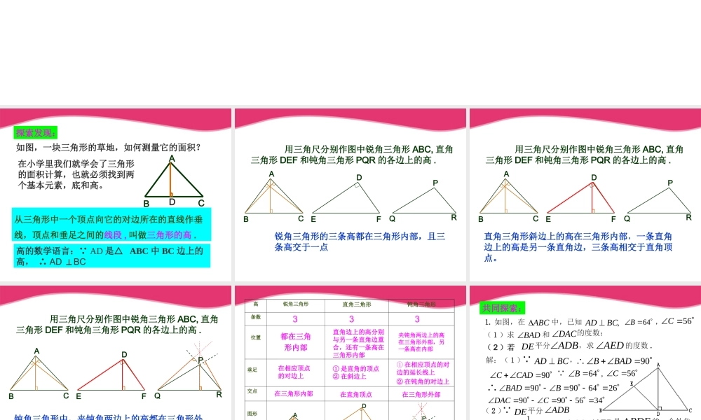 七年级数学下册 1.3三角形的高课件1 浙教版 课件