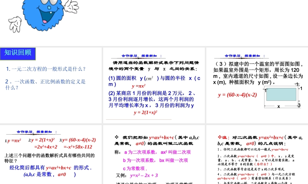 九年级数学下册 261二次函数(1)精品课件 人教新课标版 课件