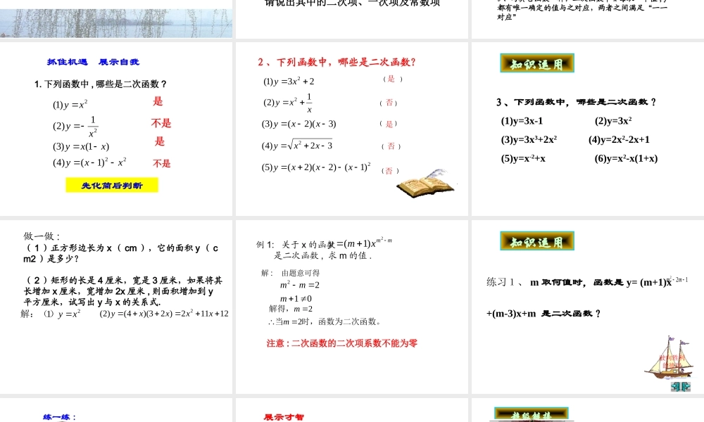 九年级数学下册 261二次函数(1)精品课件 人教新课标版 课件