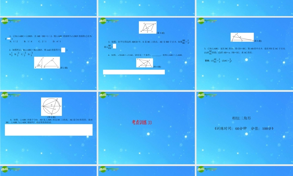 中考数学复习 第33讲 相似三角形课件