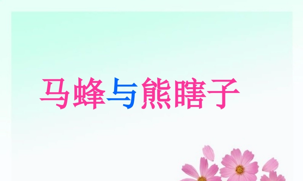 11《马蜂与熊瞎子》课件