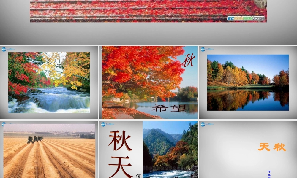 中学七年级语文上册 14 秋天课件 (新版)新人教版 课件